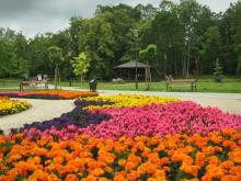 Wejherowo - Rewitalizacja Parku Miejskiego im. A. Majkowskiego