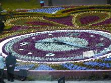 SŁUPSK/ Rewitalizacja skweru im. Pierwszych Słupszczan z Zegarem Kwiatowym przy ulicy Starczyńskiego