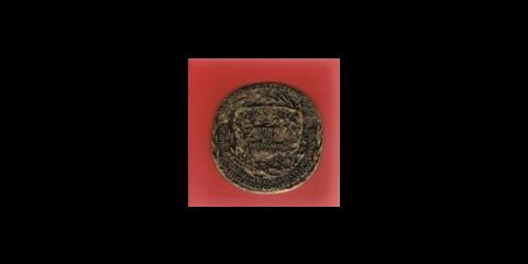 Medal POLSKIEJ AKADEMII NAUK dla Romana Pikuły